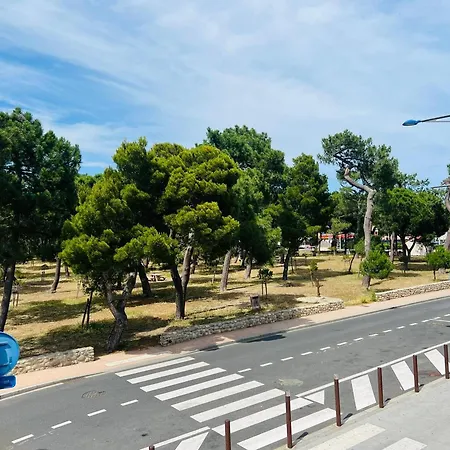 Apartment T2 A 2 Pas De La Plage, - Fr-1-309-396 Argeles-sur-Mer